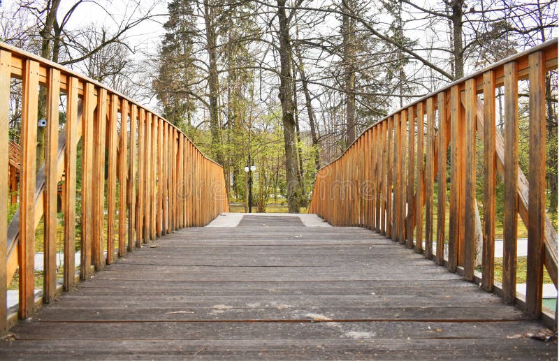Vieux pont en bois dans la for?t profonde, fond naturel de vintage photographie stock Vieux pont en bois dans la for?t profonde, fond naturel de vintage photographie stock