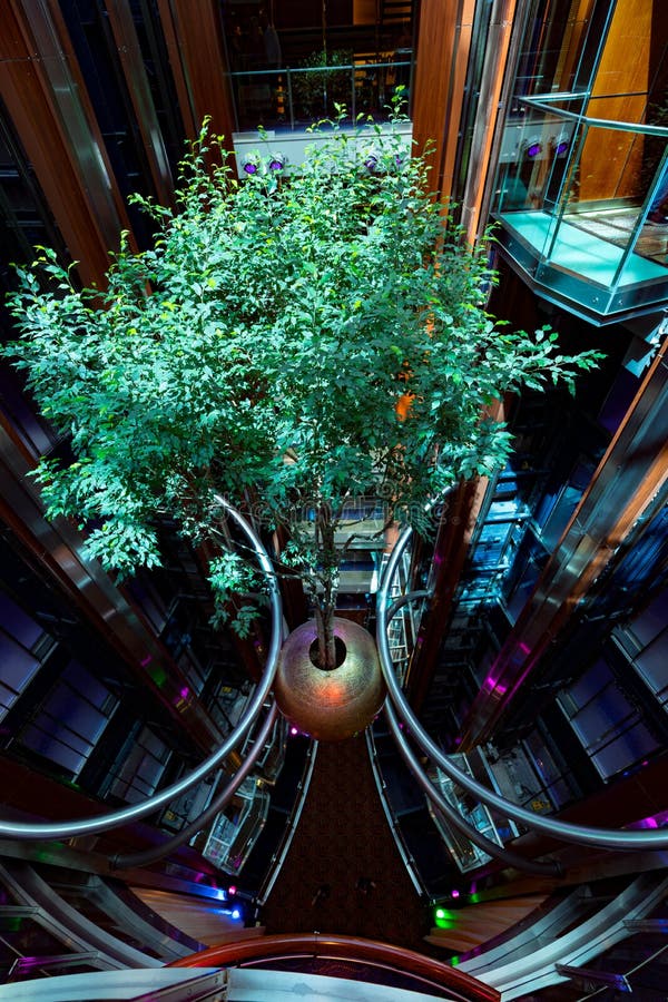 Floating Tree on Celebrity Cruise Ship