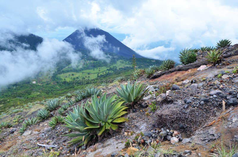 View of active volcano Yzalco, in the clouds