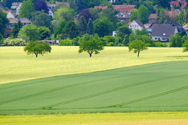 View on the agricultural fields with grain in Germany stock photos View on the agricultural fields with grain in Germany stock photos