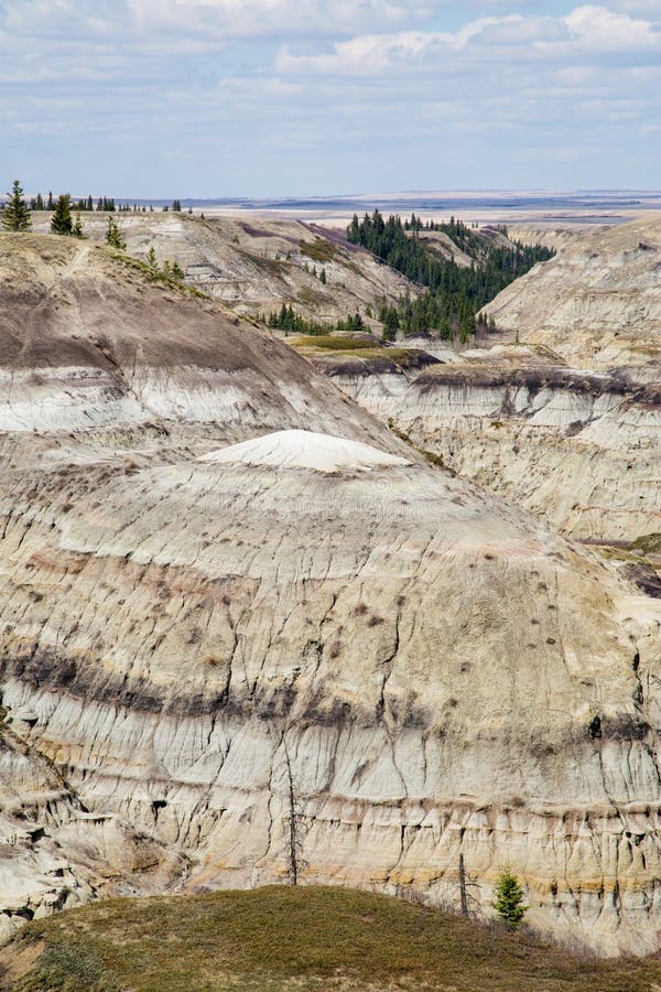 Horseshoe Canyon, Alberta, in the Spring Stock Photo Image of tourism