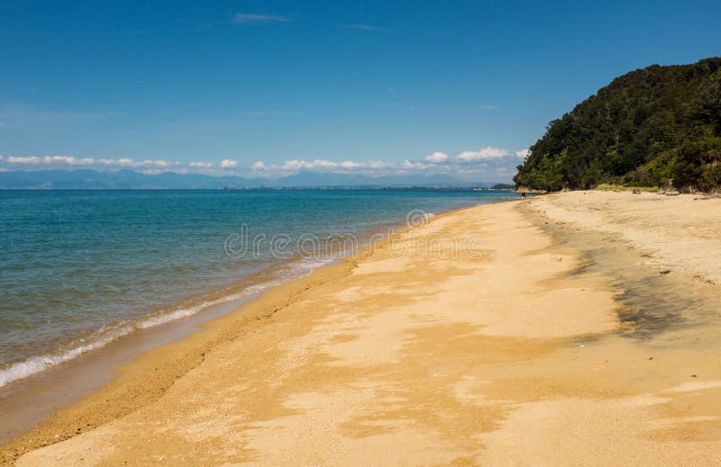 A view along one of the many golden beaches at the incredibly beautiful Able Tasman National Park, South Island, New Zealand stock image A view along one of the many golden beaches at the incredibly beautiful Able Tasman National Park, South Island, New Zealand stock image