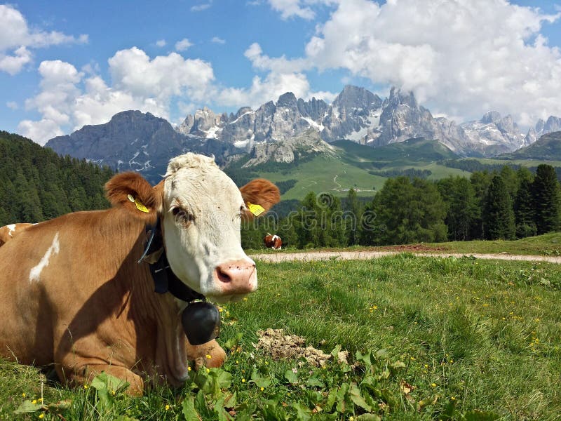 White scene of Dolomiti Veneto Italy