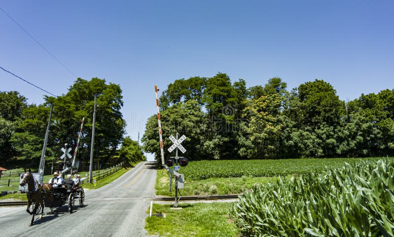 View of An Amish Horse and Carriage Traveling Down a Rural Country Road