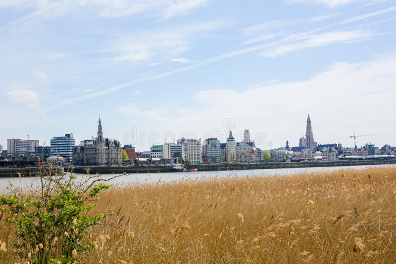 View on Antwerp by the River Scheldt in Flanders, Belgium. View on the center of Antwerp by the River Scheldt in Flanders, Belgium royalty free stock photography View on Antwerp by the River Scheldt in Flanders, Belgium. View on the center of Antwerp by the River Scheldt in Flanders, Belgium royalty free stock photography