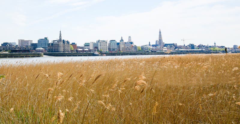 View on Antwerp by the River Scheldt in Flanders, Belgium. View on the center of Antwerp by the River Scheldt in Flanders, Belgium stock photography View on Antwerp by the River Scheldt in Flanders, Belgium. View on the center of Antwerp by the River Scheldt in Flanders, Belgium stock photography
