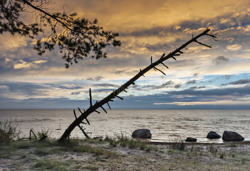 View on the Baltic Sea at sunrise, Kurzeme, Latvia