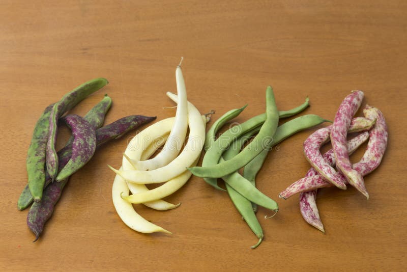 View of Bean Pods of Different Types and Colors Stock Photo Image of