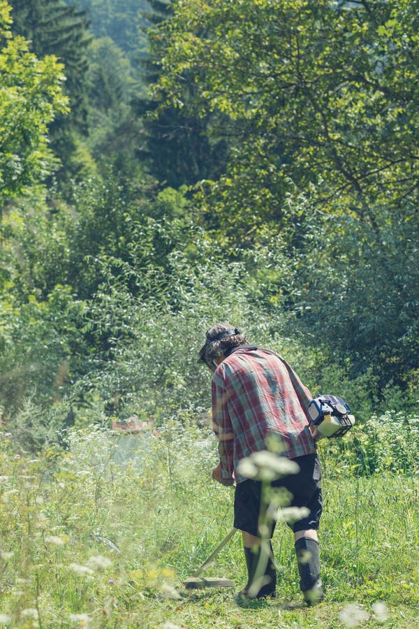 View from behind of a man in beautiful green nature mowing high grass royalty free stock photos View from behind of a man in beautiful green nature mowing high grass royalty free stock photos