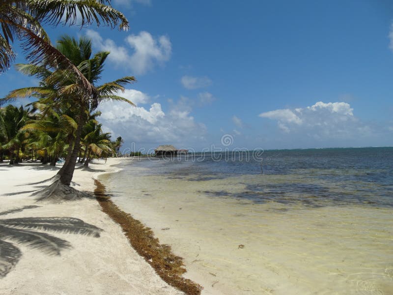 View of Belizean Beach