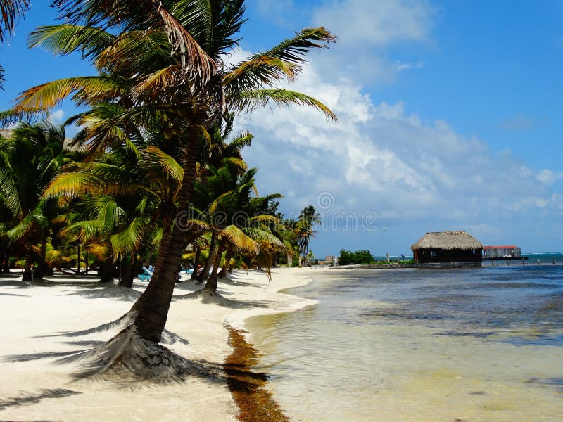 View of Belizean Beach