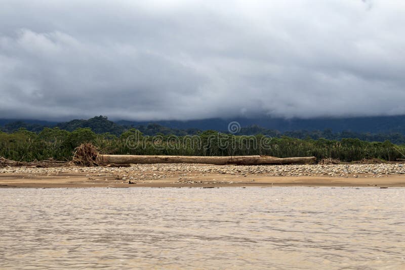 View of Beni river and rainforest of Madidi national park in the upper Amazon river basin in Bolivia, South America royalty free stock images View of Beni river and rainforest of Madidi national park in the upper Amazon river basin in Bolivia, South America royalty free stock images