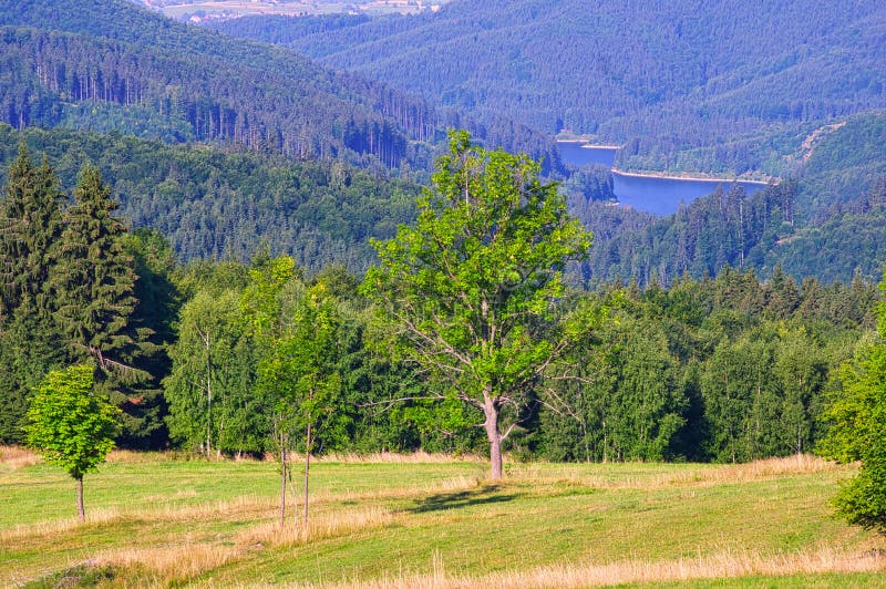 View from Biele Vody settlement in Polana mountains