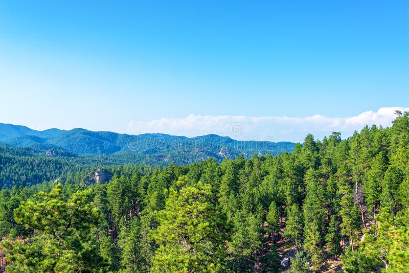 View of the Black Hills