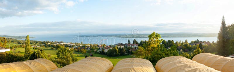 View of Bodensee