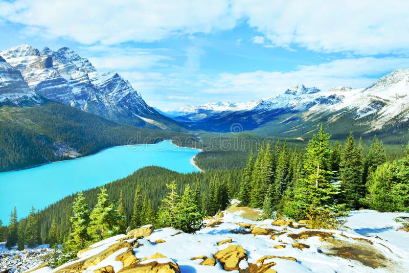 Peyto Lake In Banff National Park Canada Stock Image Image Of Alpine