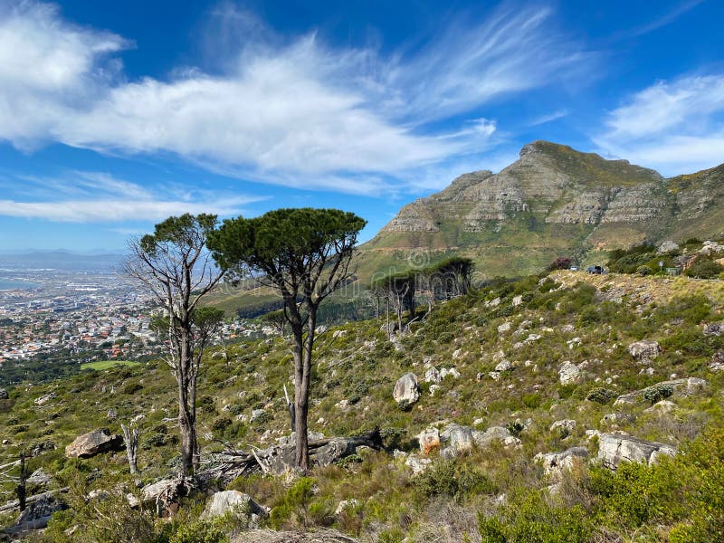 View of Cape Town from the Road Under Table Mountain Stock Image