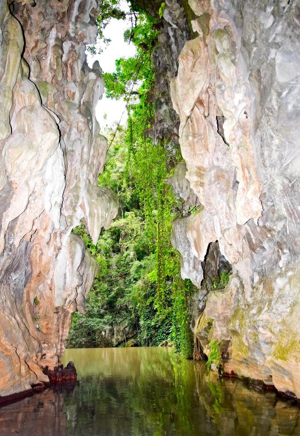 Zotz Bats Cave Local Tourist Attraction in Mexico Stock Image Image of mexico, wildlife 206887117