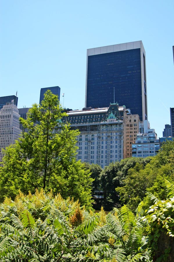 View from central park 4