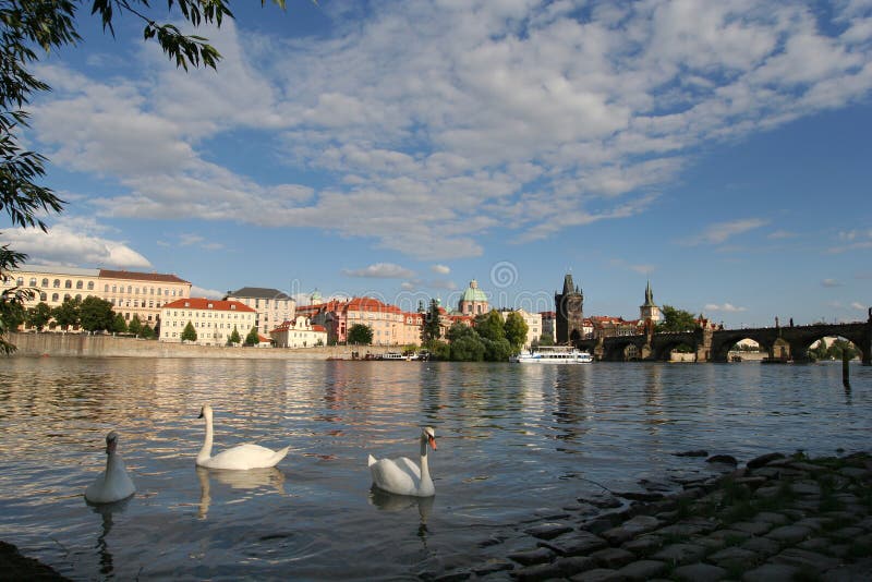 View on Charles bridge