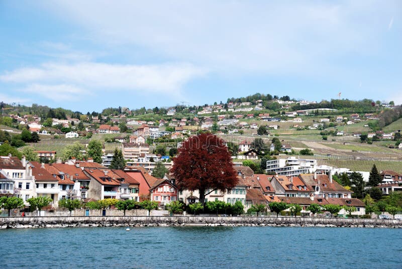 View of the city of Lake Geneva