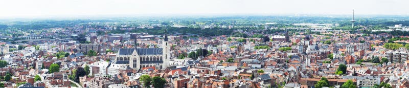 View of the city of Malines