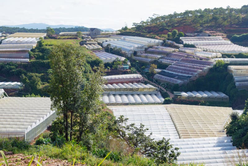 Greenhouses in city stock photo. Image of greenhouse 133373498