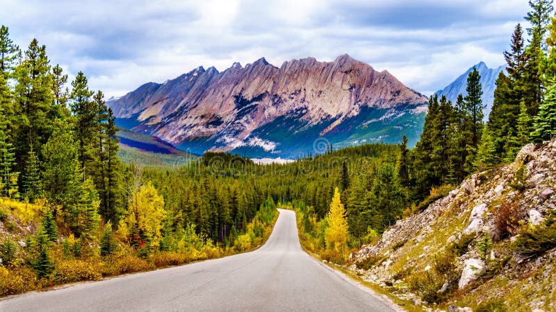 View of the Colin Range in Jasper National Park, Alberta, Canada