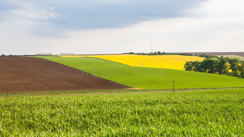 Pohľad na farebné polia