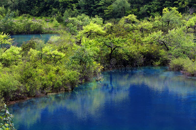 Lake In Jiuzhaigou National Park Sichuan China Stock Photo Image Of