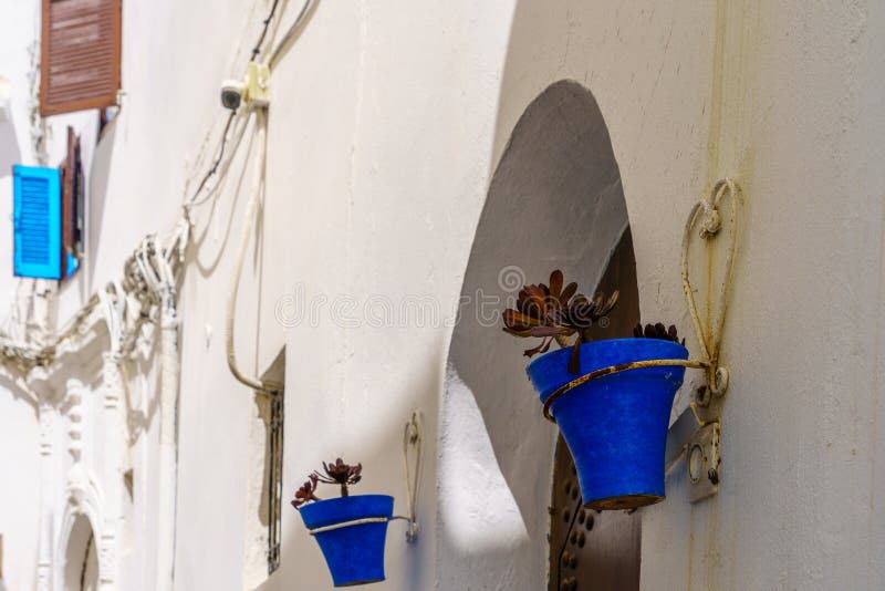Colorful plant pots, windows, and shutters on white wall