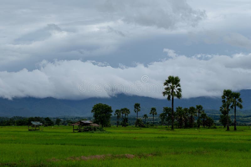 View of the Countryside in the Valley, Thailand Stock Photo Image of