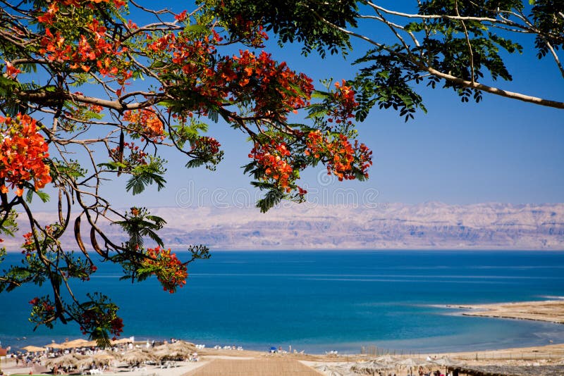 Pohľad na Mŕtveho Mora z Izraela.