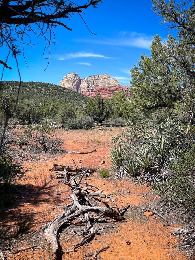 View on the Devil s Bridge Trailhead Slide Rock State park near Sedona