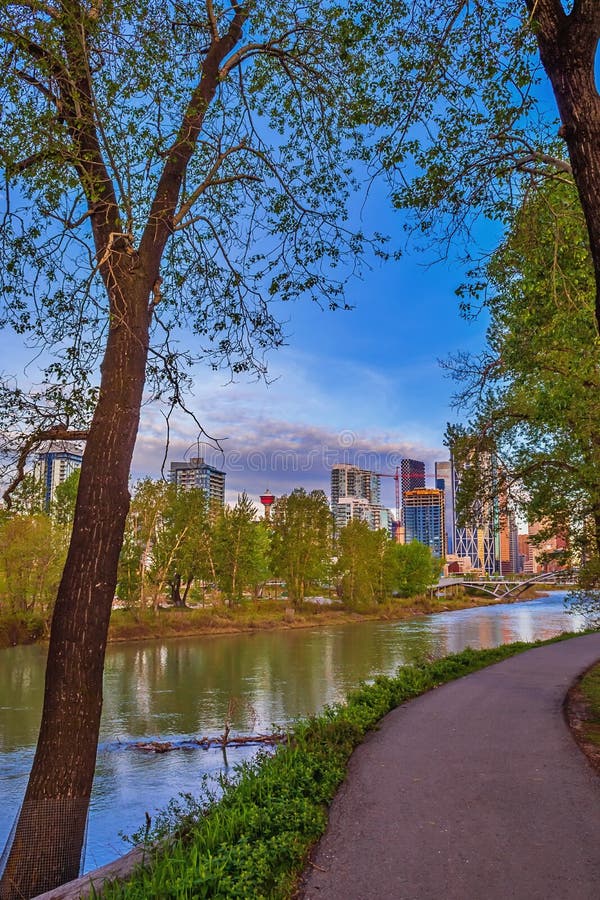 Downtown Calgary Views from a Spring Park Stock Image Image of