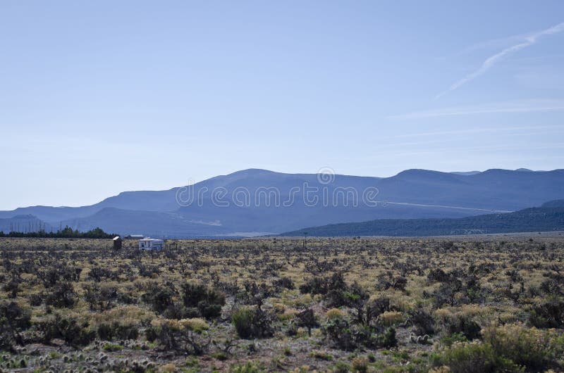 Out in the open range. A view of the dry desert landscape in the open range of the browns park morning royalty free stock images Out in the open range. A view of the dry desert landscape in the open range of the browns park morning royalty free stock images