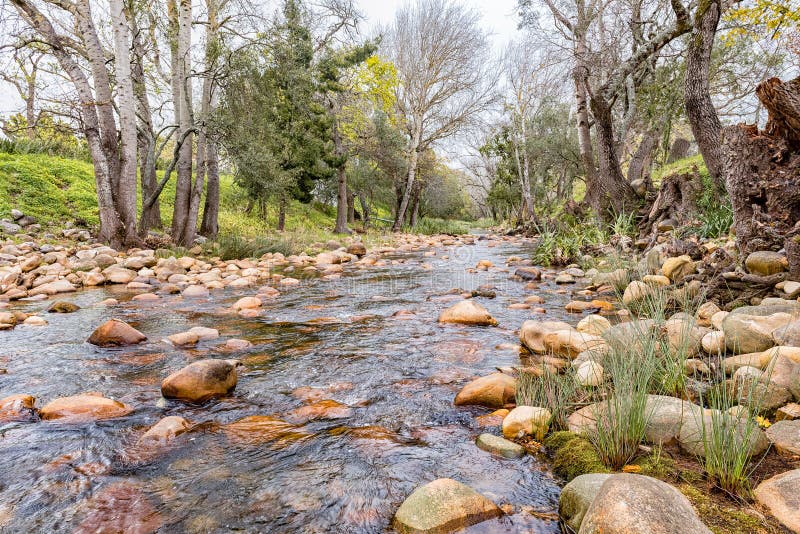 View of the Eerste River in Stellenbosch Stock Image Image of rural