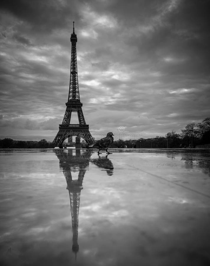 View Of The Eiffel Tower From The Trocadero Reflection Tower In 