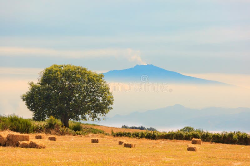 View on Etna from Aspromonte field