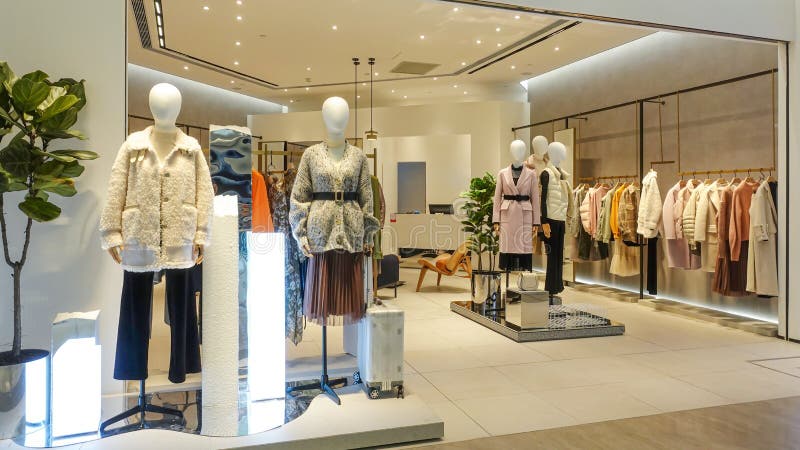 Fashion Shop Interior with Mannequins Stock Image - Image of ...