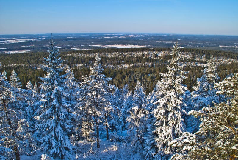 View from forest fire tower. (3)