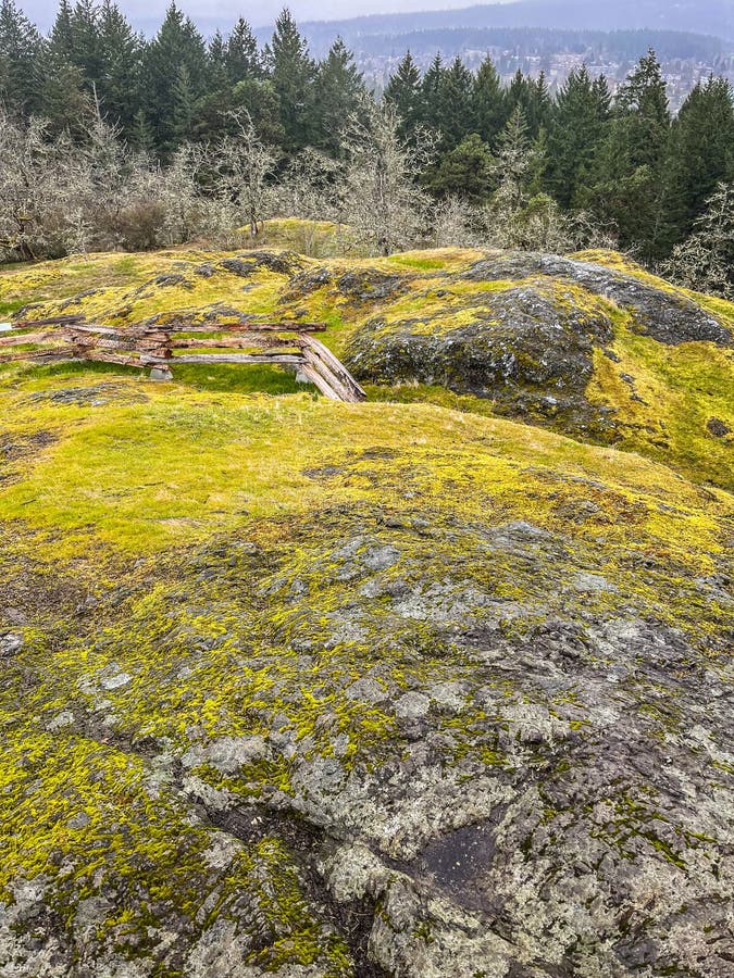 View of the Forest from the Stone Hill Covered with Moss Stock Image