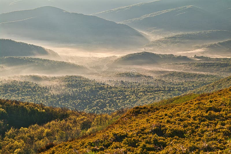 Pohľad na lesy v pohorí Bukovec na Slovensku