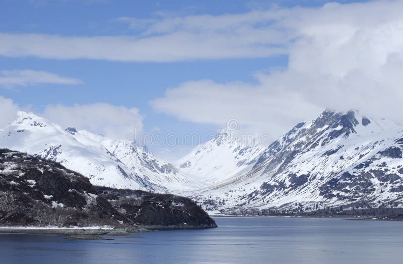 The View of Glacier Bay