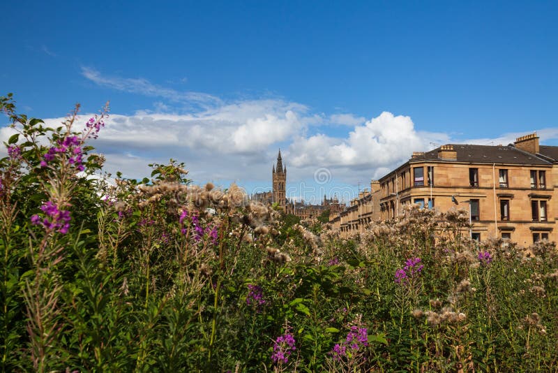 Glasgow University Summer Courses 2025 Registration Vinny Jessalyn