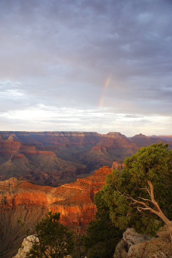 View of the Grand Canyon