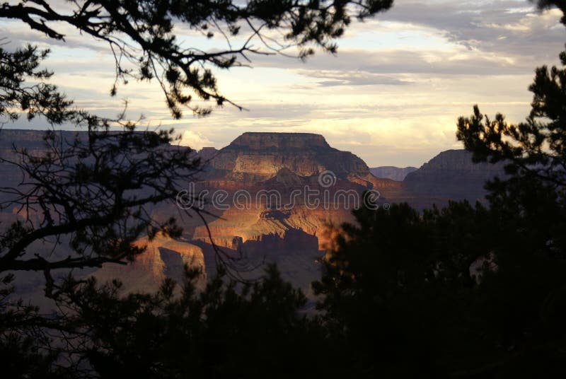 View of the Grand Canyon with Trees