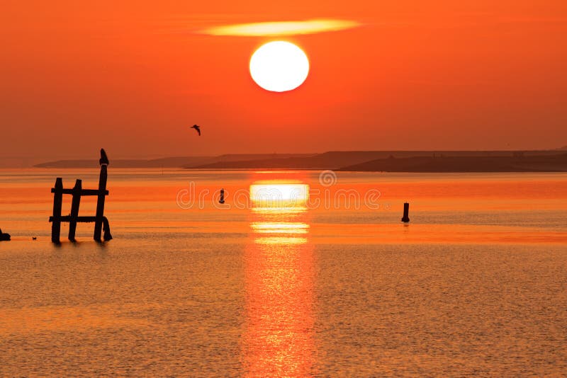 Sun with halo in golden-orange sky and waters, sunrise scene over bay landscape