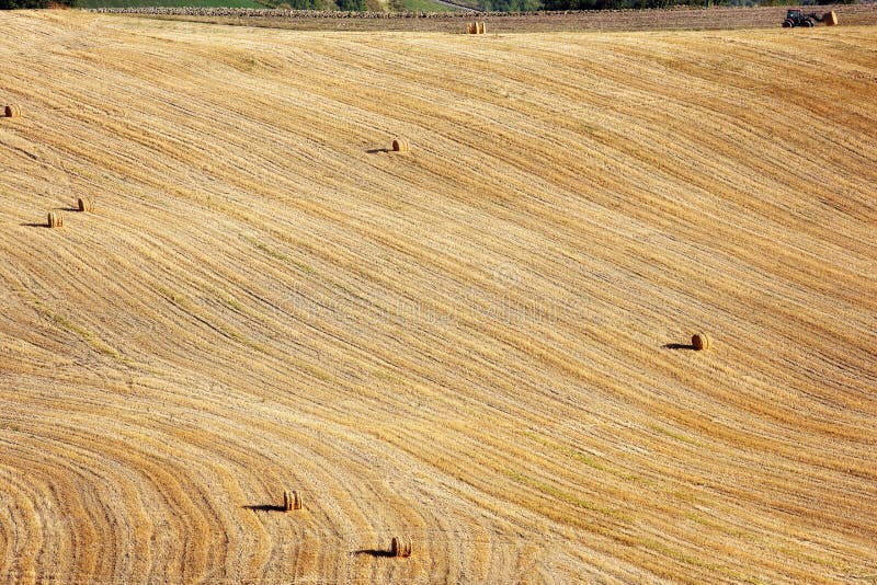View of after harvest fields stock image
