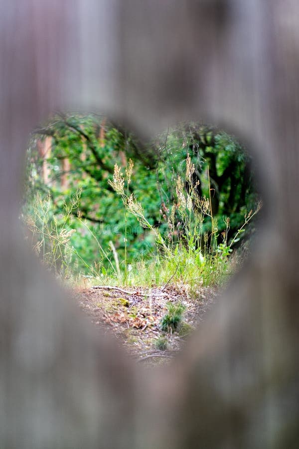 View through a heart shaped hole into nature royalty free stock photography View through a heart shaped hole into nature royalty free stock photography